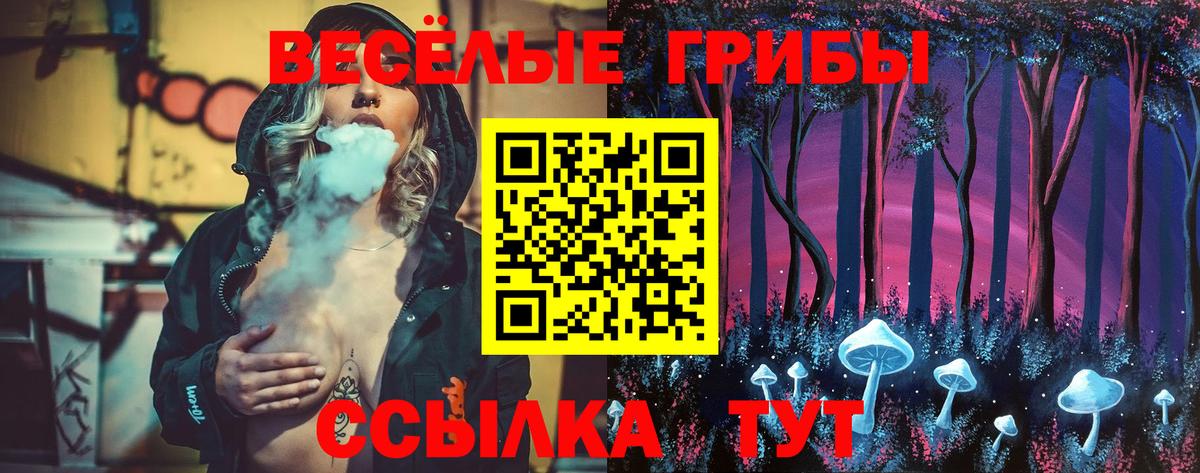 Псилоцибиновые грибы Magic Shrooms Видное