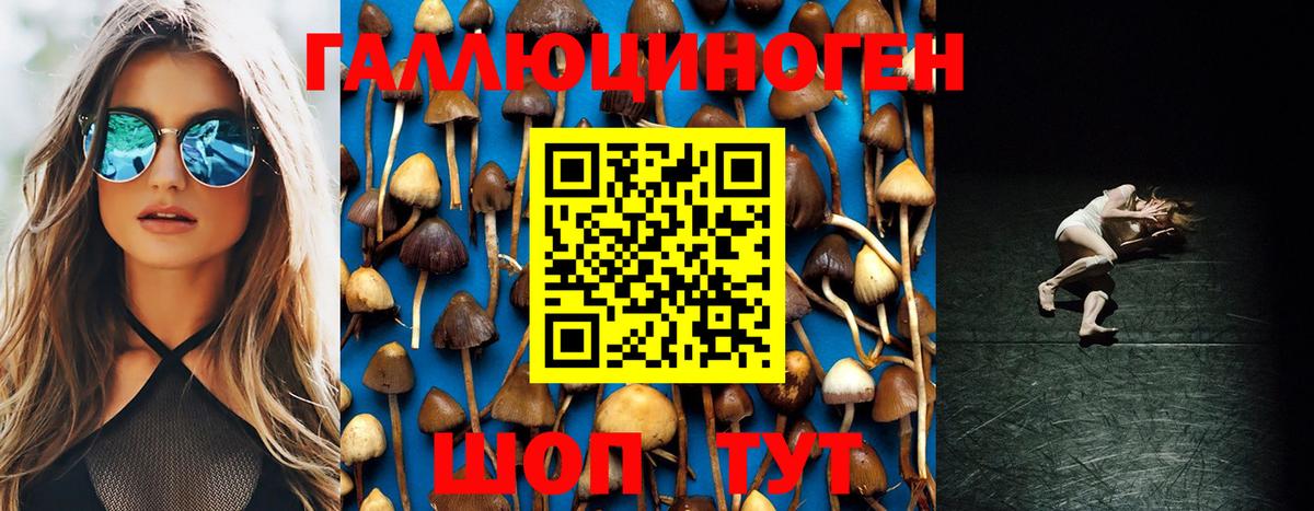 Галлюциногенные грибы Psilocybine cubensis  Галлюциногенные грибы ЛСД  Вход с VPN  дарнет шоп  Видное 